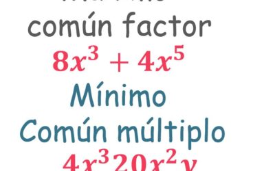 10ª CLASE DE ÁLGEBRA- mcd y mcm en expresiones algebraicas