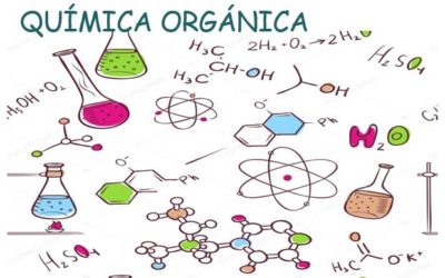 Química orgánica y los compuestos de carbono